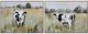 Crestview 2-Piece Standing Moos Canvas Wall Art Set-0