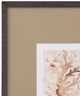 Bassett Mirror Parchment Coral lIl Framed Print-1