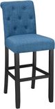 Brassex Inc. Tinga 2-Piece Blue 24'' Bar Stool Set-0