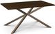 Amisco Customizable Asterisk 60" Rectangular Table with Metal Stand-0