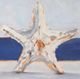 Stylecraft Blue/Light Blue/Off-White/Orange Wall Art-1