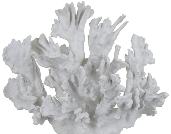 Three Hands White Coral Table Top Decoration | The Mind's Eye
