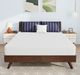 Furniture of America® Nasturtium Memory Foam Plush Queen Mattress in a Box-1
