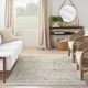 Nourison Home™ Lynx 5'x7' Style 3 Area Rug-1