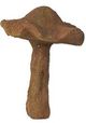 A & B Home Brown Mushroom-2