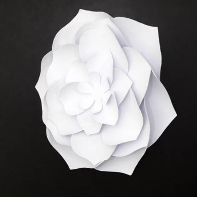 YHD Papayrus I Wall Art-2