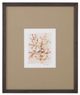 Bassett Mirror Parchment Coral I Framed Print-0