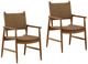 Dovetail Furniture Araya 2-Piece Light Brown Wicker/Wooden Outdoor Dining Chair Set-0