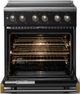 Viking® 5 Series 30" Onyx Pro Style Induction Range with Brushed Brass Trim-1