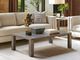 Lexington Home Santana Impulse Cerused Gray Cocktail Table-2