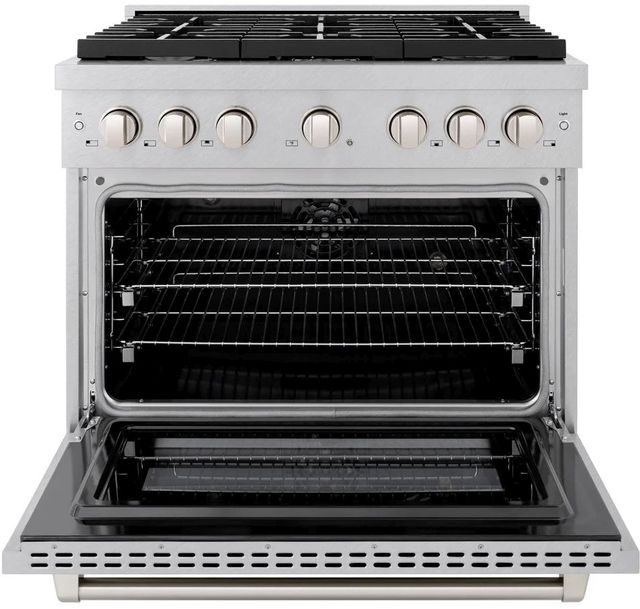ZLINE Paramount 36" Satin Stainless Steel Pro Style Dual Fuel Range-1