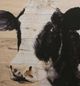 Stylecraft Beige/Black Wall Art-1
