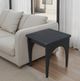 Nest Home Collections Archer Matte Black End Table -1