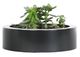 CabanaCoast® Customizable York Low Aluminum 12" Small Outdoor Round Planter-0