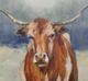 Stylecraft Spirit of the West II Blue/Red/White Wall Art -1