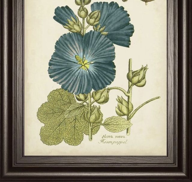 Classy Art Eloquent Botanical IV by Vision Studio Wall Art-1