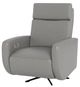 Elran Customizable M0012 Power Leather Recliner-1