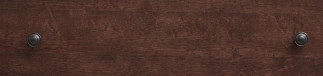 Legacy Kids Teen Canterbury Warm Cherry Youth Dresser-3
