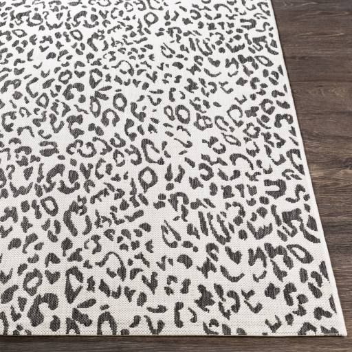 Surya Eagean Multi-Colored 9'x12' Area Rug-2