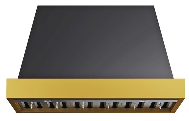 Kucht Professional 36" Titanium Stainless Steel Wall Mounted Range Hood with Gold Accents-1