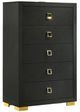 Furniture of America® Latimer Black Chest-0
