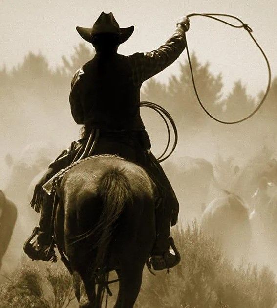 Classy Art Rope and Ride by Danita Delimont Wall Art-1