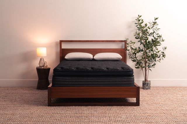 Southerland™ Craftsman 15.5" Wrapped Coil Medium Plush Jumbo Pillow Top Twin Mattress-1