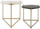 Sagebrook Home Geometric 2 Pieces Gold Coffee Table Set-0