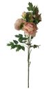 A & B Home Peach Peony-1
