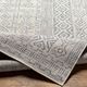 Surya Eagean Taupe 4'x6' Area Rug-3