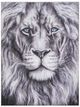 YHD Leo's About Face Wall Art-0