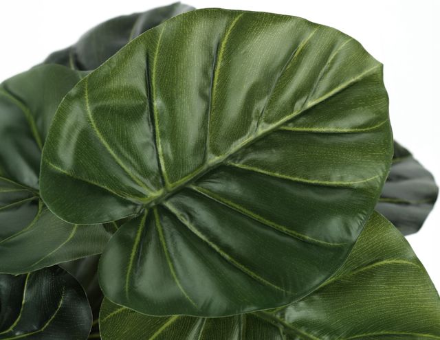 Monarch Specialties Inc. Green/Black 24" Tall Artificial Potted Alocasia-2