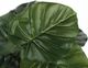 Monarch Specialties Inc. Green/Black 24" Tall Artificial Potted Alocasia-2