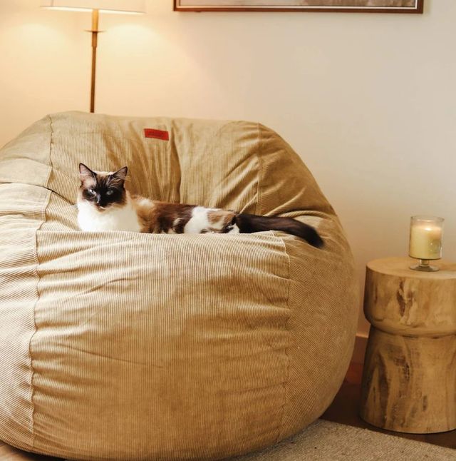 CordaRoy's® Original Khaki Corduroy Full Bean Bag Chair-3