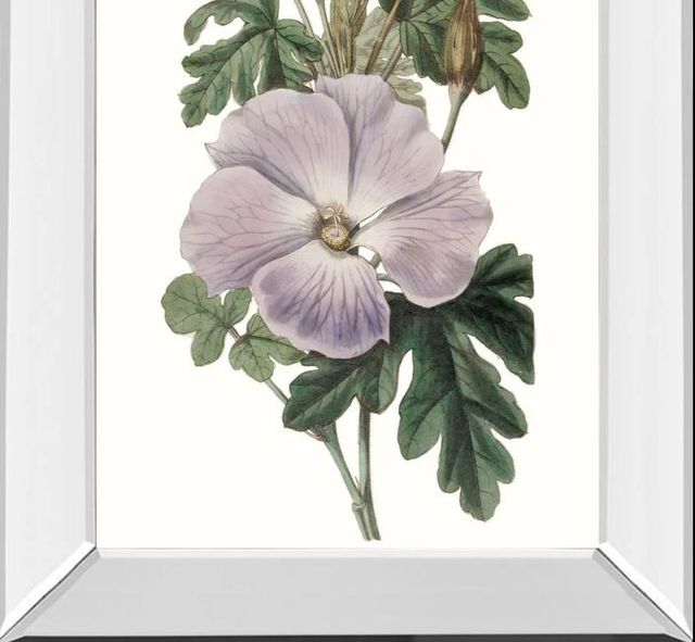 Classy Art Lavender Beauties I by Edwards Mirror Framed Wall Art-1
