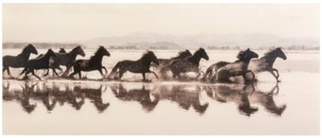 YHD Running Wild Print-0