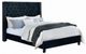 Furniture of America® Ryleigh Black Queen Panel Bed-0