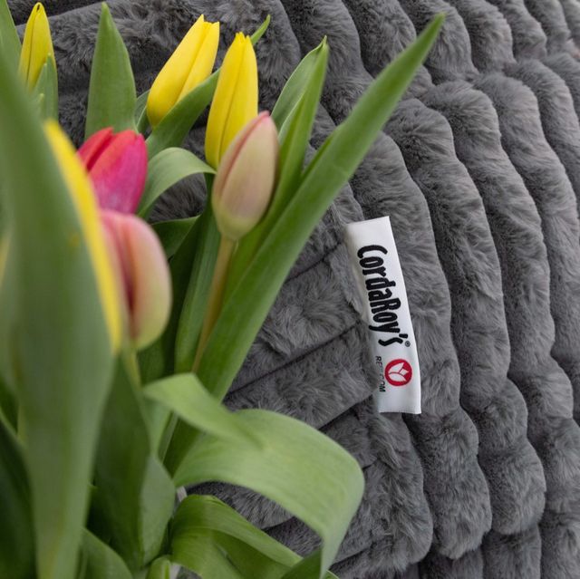 CordaRoy's® Rebloom Gray Queen Bean Bag Chair-2
