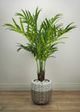 Le Present Green 59" Faux Botanical Palm Tree-2