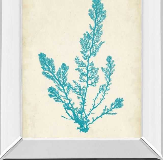 Classy Art Aquamarine Seaweed VI by Vision Studio Mirror Framed Wall Art-1