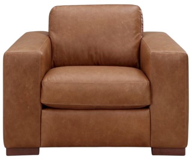 Leather Italia™ Savino Inglewood Vintage Brown Derby Accent Chair-1