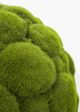 Le Present Moss Green Faux Botanical Ball-2