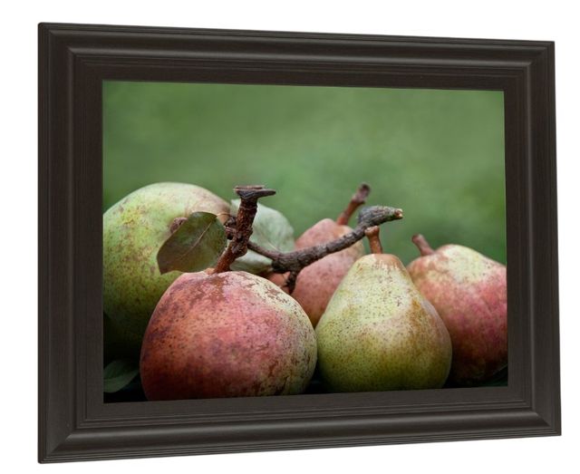Classy Living Rachel Perry Comice Pear Il Wall Art-2