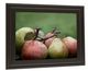 Classy Living Rachel Perry Comice Pear Il Wall Art-2