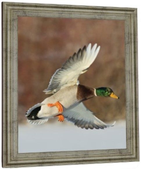 Classy Living Mallard Glde Wall Art-2