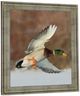 Classy Living Mallard Glde Wall Art-2