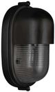 Currey & Company Maritime Black/Clear Outdoor Wall Sconce-0