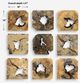Uttermost® Bahati 9-Piece Natural Wall Decor Set-2
