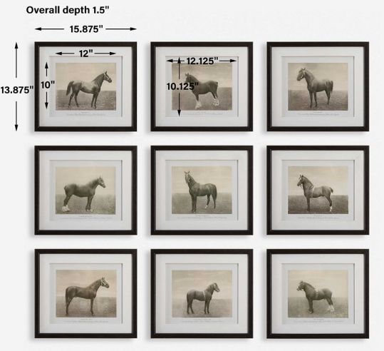 Uttermost® Equine Dynasty 9-Piece Framed Print Set-2