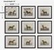 Uttermost® Equine Dynasty 9-Piece Framed Print Set-2